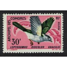Comoro Is. Courol Bird 1967 MH SG#63 MI#82 Sc#72