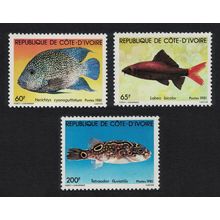 Ivory Coast Fish 3v 1981 MNH SG#666-668 MI#673-675