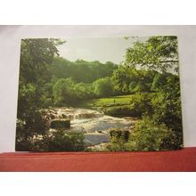AYSGARTH UPPER FORCE, YORKSHIRE used postcard, J.Arthur Dixon 1990? pm =