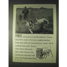 1970 Purina Dog Chow Ad - Power and Stamina