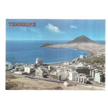 EL MEDANO, TENERIFE, SPAIN unused vintage postcard flowers #
