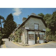 OAPS Talking at The Bats Wing Godshill Surrey Rare 1970s Postcard