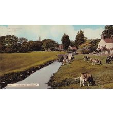 Log Water River Heacham Sussex 1960s Postcard
