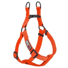 Flat Nylon Harness W3/4" L18"-25" Orange M