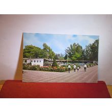 QUEEN ELIZABETH WALK, SINGAPORE unused postcard dated 1971 =