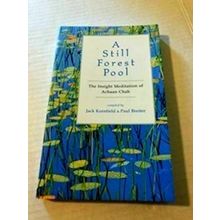 A Still Forest Pool