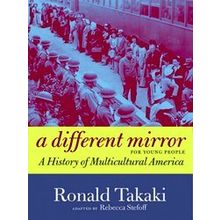 A Different Mirror For Young People