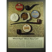 1964 Player's Navy Cut Tobacco Ad - Which Pipe? Which Navy Cut?