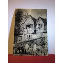COYGRE CHURCHYARD, TROWBRIDGE MUSEUM postcard Wiltshire Library & museums =