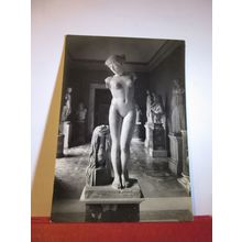 ESQUILINE VENUS, ROME MUSEUM, ITALY unused postcard =