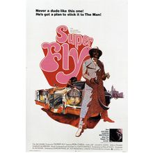 Suerfly - 1972 Poster Canvas Movie Film Print A0 A1 A2 A3 A4 A5 A6 Art Wall Deco