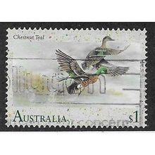 AUS 1991 $1.00 'WATERBIRDS - CHESTNUT TEAL' FINE USED (EBID68-072)