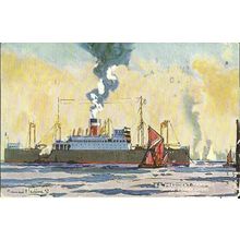 United States Lines SS PRESIDENT HARDING Tuck Oilette Postcard (3592)