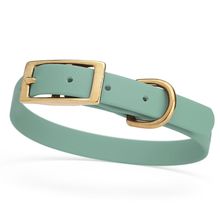 Dog Pet Collar with Brass Hardware Size S W 5/8” L 12” - 15” Sage Green