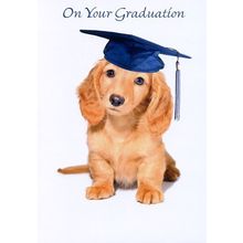On Your Graduation - Graduation Greeting Card - 24665