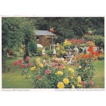 Gooseberry Hill Norfolk Cottage Garden Postcard