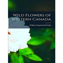 Wild Flowers Of Western Canada