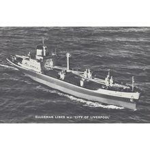 Ellerman Lines MV City Of Liverpool Ship Liner Postcard