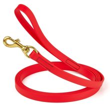 Dog Pet Leash Cherry Red w/ Brass Hardware W 3/4" - L20'