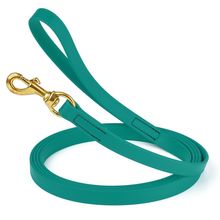 Dog Pet Leash Blue Aqua w/ Brass Hardware W 3/4" - L20'
