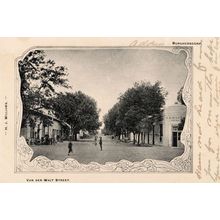 Van Der Walt Street South Africa Antique Postcard