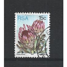 SouthAfrica.SG424 15c Protea Eximia.Fine Used.Sep25v