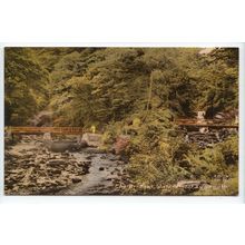 Watersmeet Bridges Lynmouth Devon Frith's Series Postcard 120