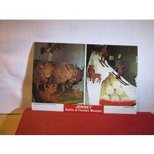 JERSEY BATTLE OF FLOWERS MUSEUM, CHANNEL ISLES unused vintage postcard ACG 178 =
