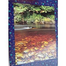 Postcard - Tasmania - Savage River