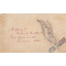 Scottish Real Heather Preserved Flower From 1903 Antique Hand Made Postcard