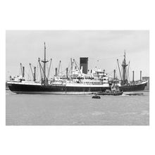 mc3466 - Glen Line Cargo Ship - Glenbeg - photograph 6x4