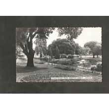 Postcard Devon Newton Abbot Coutenay Park