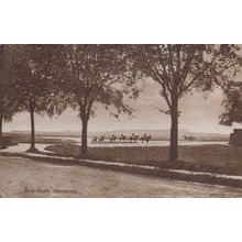 Horse Riders at Bury Heath Newmarket Suffolk Antique Postcard