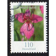 Germany 2019 Flower Definitive - Gladiolus 110(c) Used