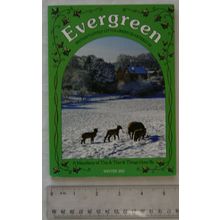 Winter 2013 Evergreen, A Miscellany of This & That & Things Gone By