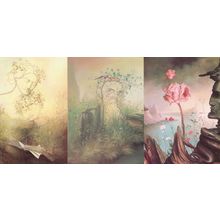 Andre Martins De Barros 3x Rare Mystic Forest Flower Postcard s