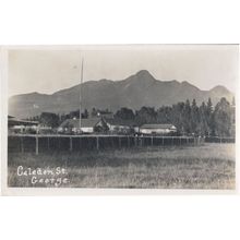 Caledon Street George South Africa Antique Real Photo Postcard