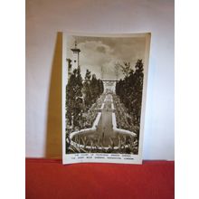 Kensington. THE DERRY ROOF GARDENS, London unused vintag postcard RP c.1950s =
