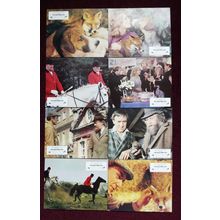 BELLSTONE FOX, The (1973) 8 UK FOH / Lobby cards ***Eric Porter, Jeremy Kemp****