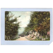 New York Binghamton Roadway Ross Park ny_box2~512