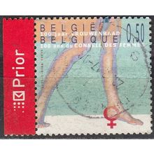 Belgique 2005 Michel 3396 O Cote (2008) 0.60 € 100 Ans Conseil des Femmes