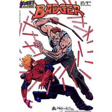 Badger (Vol 2) (First) # 022 NM MODERN AGE COMICS