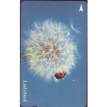 Lady Bird S'pore $10 Telephone Card (Used)