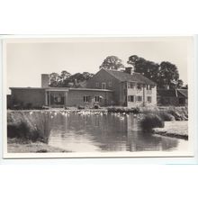 The Wildfowl Trust Slimbridge Gloucestershire RP Postcard