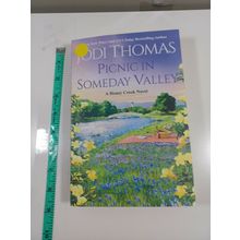 picnic in someday valley by jodi thomas 2021 paperback