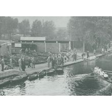 Connaught Regatta River Lee Hertfordshire 1940s Rowing Boats Postcard