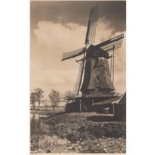 Ommen Korenmolen Windmill Den Oord Dutch Old Postcard