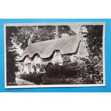 Studland, The Cottages - Dorset postcard