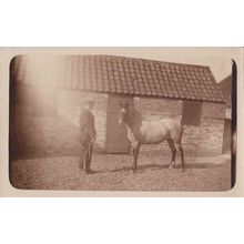 Race Racing Horse Training At Stable Farm Stables Antique Real Photo Postcard