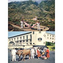 Hammock Riding at Pico dos Barcelos Madeira 2x Postcard s
